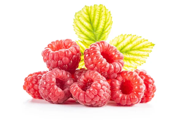 Reife Rote Himbeeren Isoliert Auf Weißem Hintergrund — Stockfoto