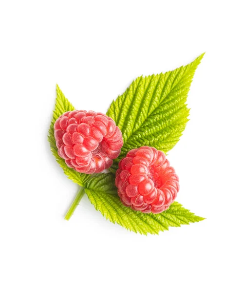 Ripe Red Raspberries Green Leaves Isolated White Background — Stock Photo, Image