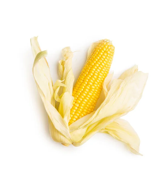 Uncooked Corn Cob Isolated White Background — Stock Photo, Image