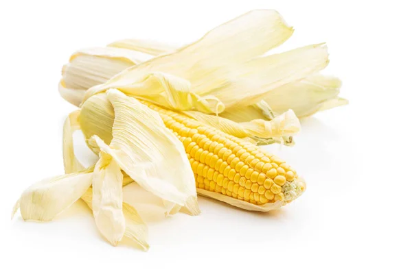 Uncooked Corn Cob Isolated White Background — Stock Photo, Image