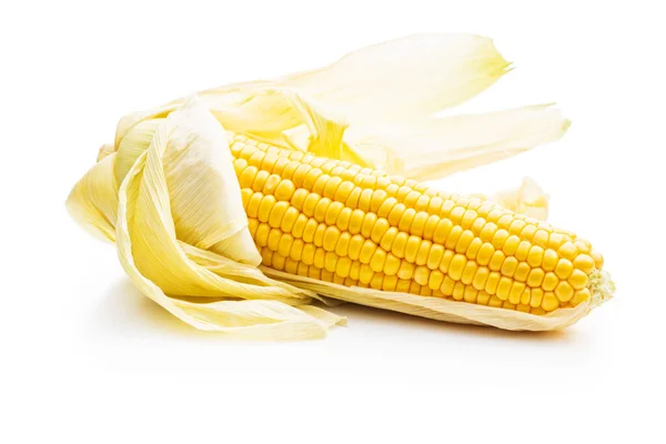 Uncooked Corn Cob Isolated White Background — Stock Photo, Image