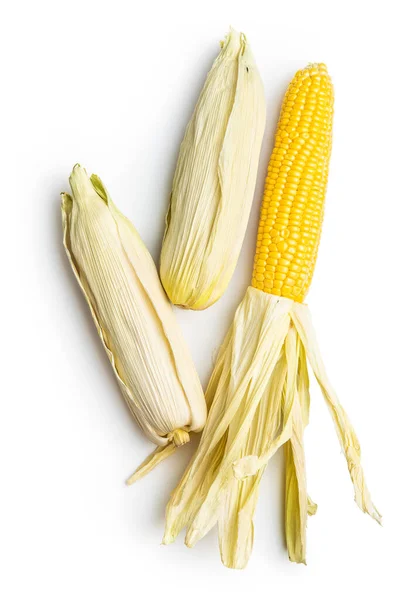 Uncooked Corn Cob Isolated White Background — Stock Photo, Image