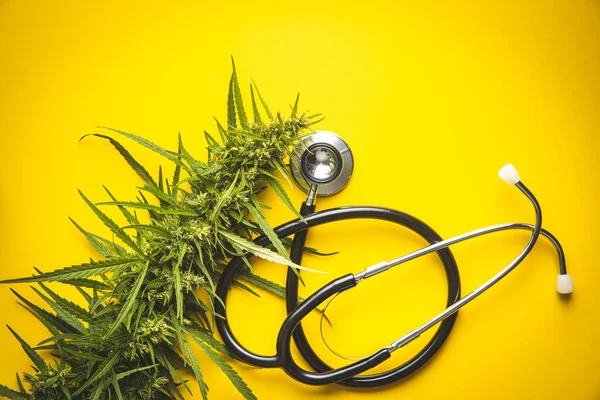 Marihuana Knospenblüten Von Cannabis Und Stethoskop Auf Gelbem Hintergrund Ansicht — Stockfoto