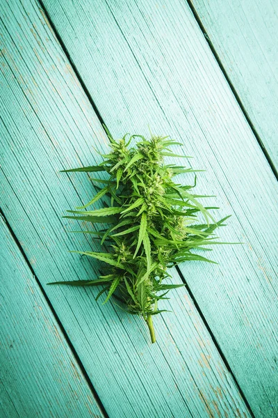 Flores Erva Maconha Cannabis Mesa Madeira Verde Vista Superior — Fotografia de Stock