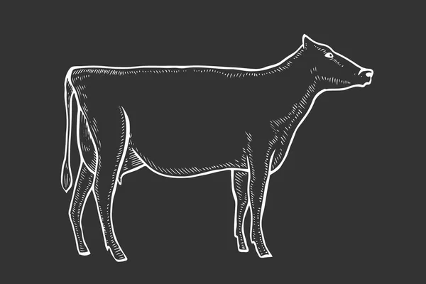 Чорно Біла Гравірування Ізольована Векторна Корова — стоковий вектор