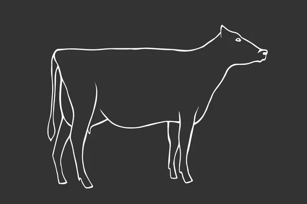 Hand Draw Cow Outline Vector Illustration — Stock Vector