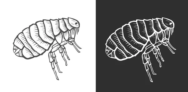기생충 그림입니다 스크래치 스타일 흑인과 손으로 그린된 이미지 — 스톡 사진