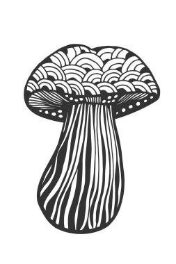 Yetişkin anti için elle çizilmiş sihirli mantar beyaz arka planda, zentangle tarzı illüstrasyon izole yüksek ayrıntılarla Boyama Page stres. Vektör tek renkli kroki.