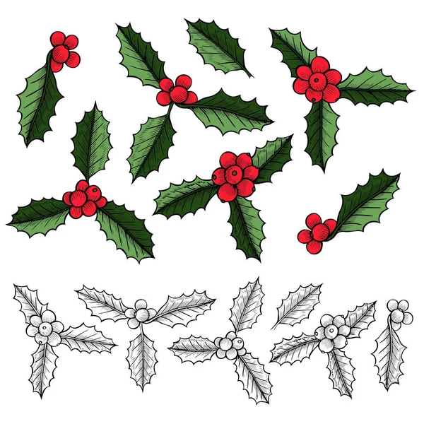 一套圣诞槲寄生 冬青莓叶 手绘插图 植物圣诞装饰元素 伟大的标志 节日装饰 — 图库照片