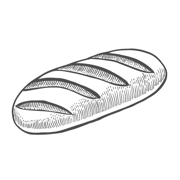 Arka plan üzerinde izole baget vektör kroki kutsal kişilerin resmi. Elle çizilmiş illüstrasyon