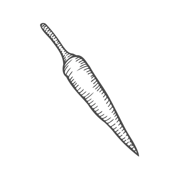 肌寒い唐辛子ロゴベクトルの手には イラストが描かれています 新鮮な有機野菜 刻まれたスタイルで 図面詳細な食品 素晴らしいラベル ポスター 白い背景に分離 — ストックベクタ