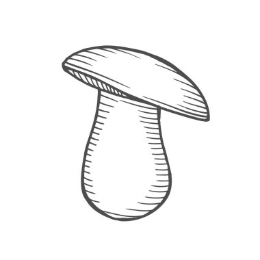 Elle çizilmiş resim oyma beyaz mantar