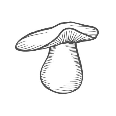 Elle çizilmiş resim oyma beyaz mantar