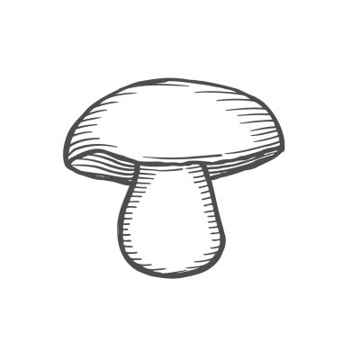 Elle çizilmiş resim oyma beyaz mantar