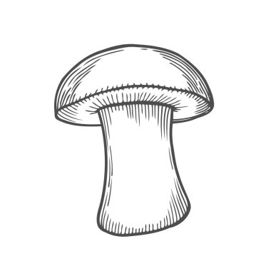 Elle çizilmiş resim oyma beyaz mantar