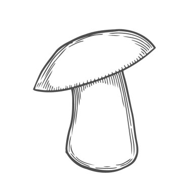 Elle çizilmiş resim oyma beyaz mantar