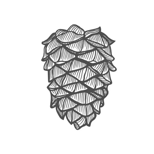 El yapımı çam kozalağı. Vintage vektör illüstrasyonu