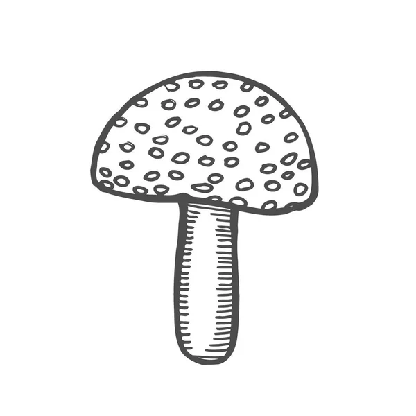 Bella Amanita Bianco Nero Illustrazione Della Natura Isolata Sfondo Bianco — Vettoriale Stock