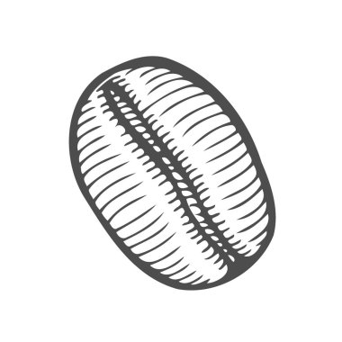 Vintage kahve çekirdeği oyma vektör çizim. Beyaz arka plan üzerinde izole