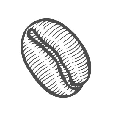 Vintage kahve çekirdeği oyma vektör çizim. Beyaz arka plan üzerinde izole