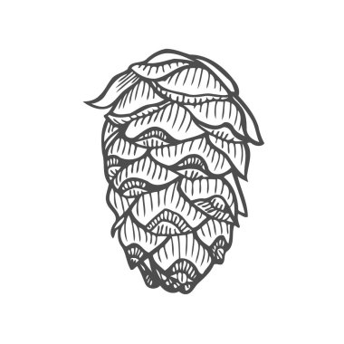 Süper ahşap doğa vektör Illustration. Elle çizilmiş kroki