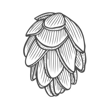 Süper ahşap doğa vektör Illustration. Elle çizilmiş kroki