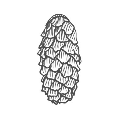 Süper ahşap doğa vektör Illustration. Elle çizilmiş kroki