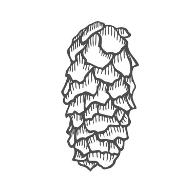 Süper ahşap doğa vektör Illustration. Elle çizilmiş kroki