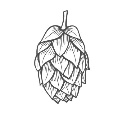 Bira hop illüstrasyon izole beyaz arka plan üzerinde stil oyma içinde. Tasarım öğesi için logo, etiket, arma, işaret, poster, etiket. Vektör çizim