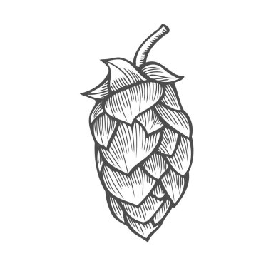 Bira hop illüstrasyon izole beyaz arka plan üzerinde stil oyma içinde. Tasarım öğesi için logo, etiket, arma, işaret, poster, etiket. Vektör çizim