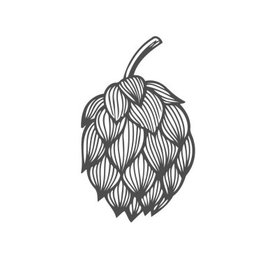 Bira hop illüstrasyon izole beyaz arka plan üzerinde stil oyma içinde. Tasarım öğesi için logo, etiket, arma, işaret, poster, etiket. Vektör çizim