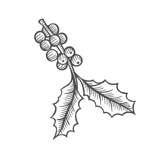 Чернильный Набросок Ветки Омелы Листьями Фруктами Элемент Монохромного Дизайна Веб — стоковый вектор