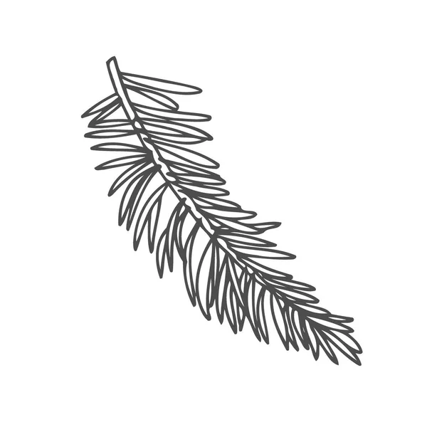 Hand Getekende Pine Boomtak Geïsoleerd Een Witte Achtergrond Inkt Illustratie — Stockvector