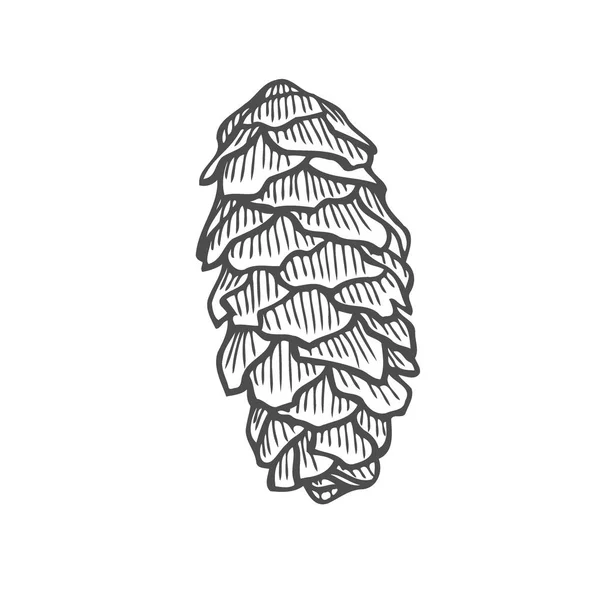 Illustration Vectorielle Nature Bois Pin Dessin Main — Image vectorielle