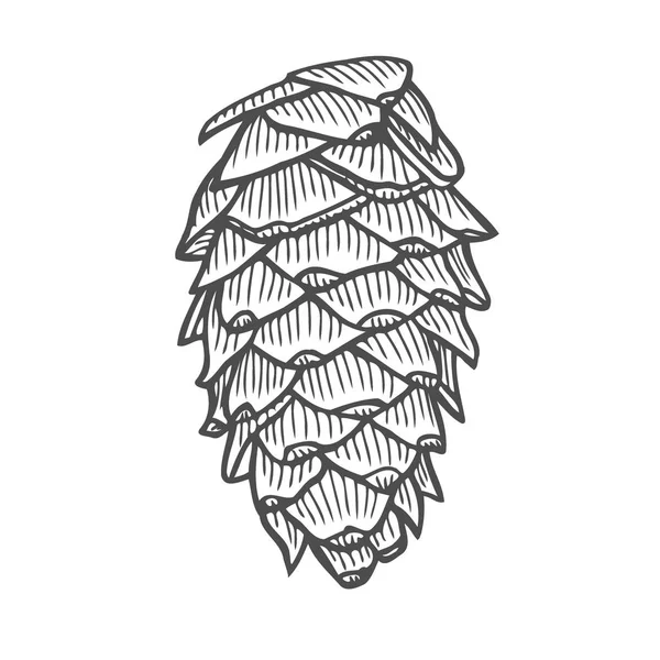 Süper ahşap doğa vektör Illustration. Elle çizilmiş kroki