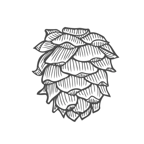 Illustration Vectorielle Nature Bois Pin Dessin Main — Image vectorielle
