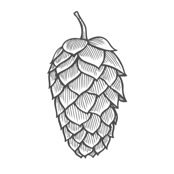 Bira hop illüstrasyon izole beyaz arka plan üzerinde stil oyma içinde. Tasarım öğesi için logo, etiket, arma, işaret, poster, etiket. Vektör çizim