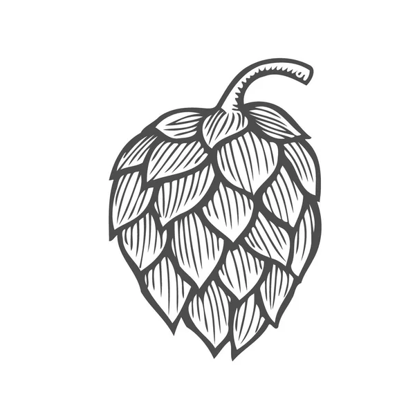 Bira hop illüstrasyon izole beyaz arka plan üzerinde stil oyma içinde. Tasarım öğesi için logo, etiket, arma, işaret, poster, etiket. Vektör çizim