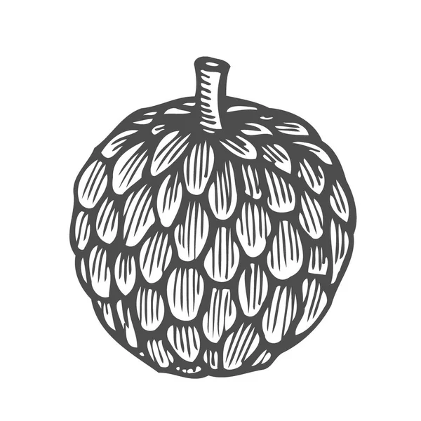 Hop tesisi - tek renkli vektör çizim el çekilmiş