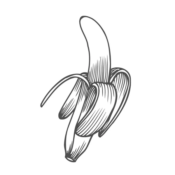 Χέρι Συρμένη Απεικόνιση Φλούδα Μπανάνας — Διανυσματικό Αρχείο