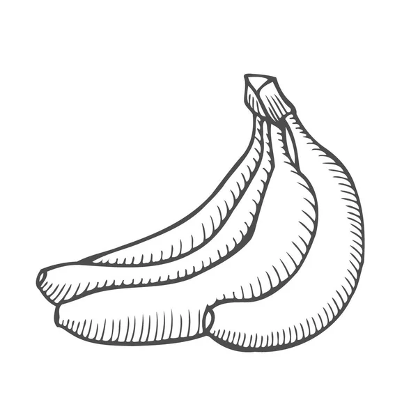 Hand Getrokken Vector Één Schets Banaan Illustratie Geïsoleerd Witte Achtergrond — Stockvector