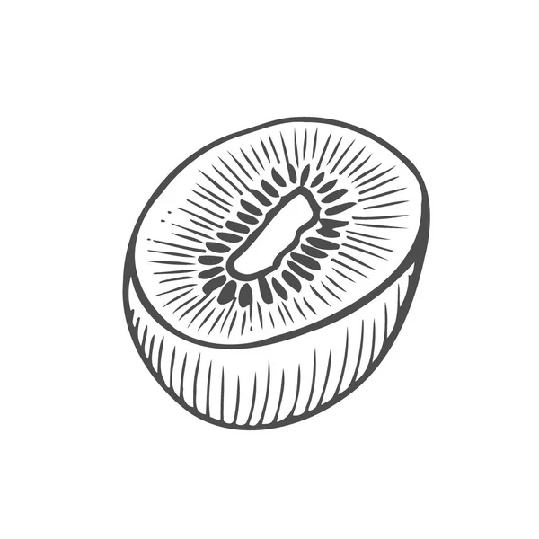 Ilustración Dibujada Mano Kiwi Monocromo Bosquejo Vector — Vector de stock