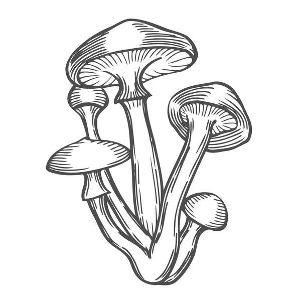 Paddestoelen Vector Illustratie Hand Getrokken Schets Afbeelding — Stockvector