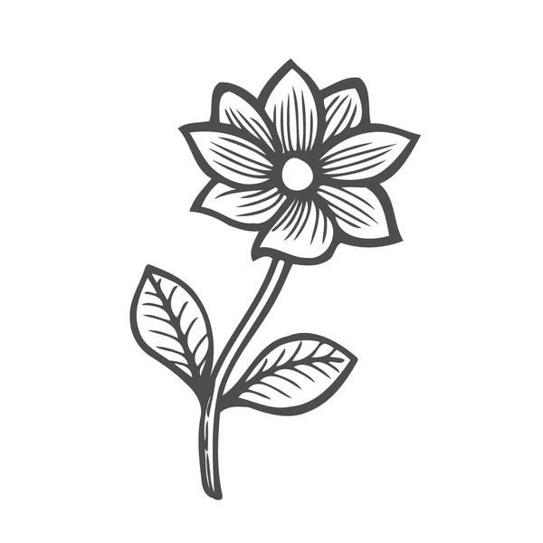Schöne Einfarbige Schwarze Und Weiße Blume Isoliert Auf Weißem Hintergrund — Stockvektor