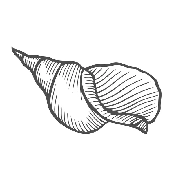 Sea Shell Mantel Zwarte Vintage Illustratie Gravure Geïsoleerd Witte Achtergrond — Stockvector