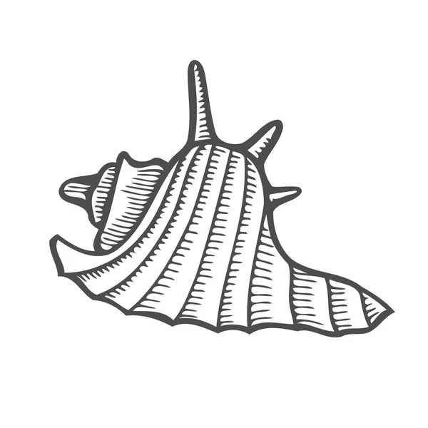 Sea Shell Scallop Ilustrasi Ukiran Hitam Kuno Terisolasi Pada Latar - Stok Vektor