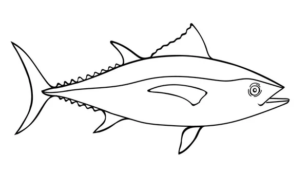 金枪鱼素描插图 一只手绘制的一条金枪鱼画的矢量涂鸦插图 — 图库矢量图片