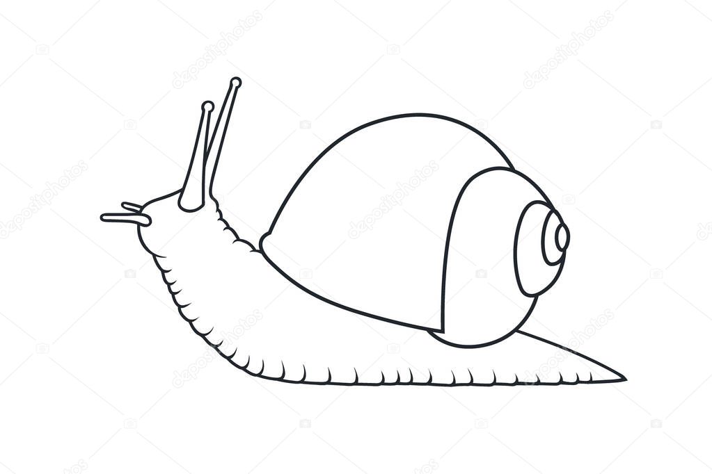 Sketch shell concept isolated on white Vector