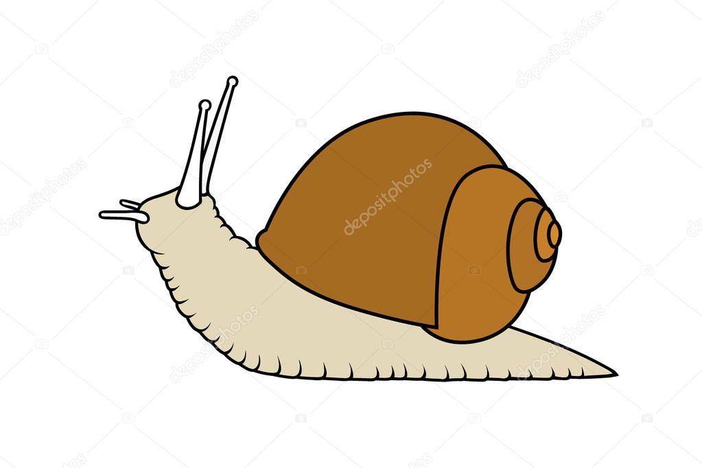 Sketch shell concept isolated on white Vector