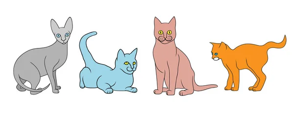 Sada Kočky Různých Plemen Roztomilý Domácí Zvířata Zvířecí Vektorové Ilustrace — Stockový vektor